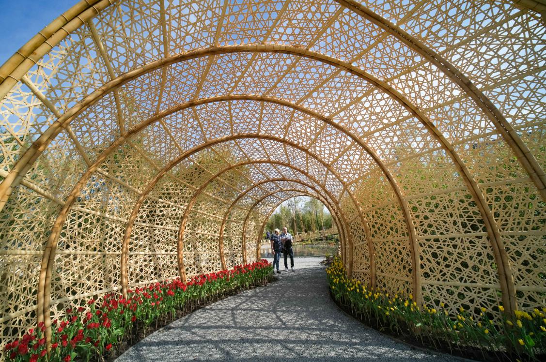 Фотоподборка павильона Китая на выставке Floriade Expo 2022