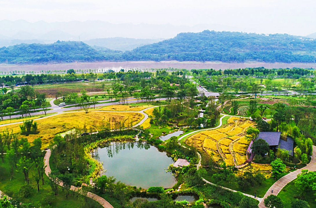 Демонстрационный проект зеленого развития экономического пояса реки Янцзы района острова Гуаньян, Чунцин